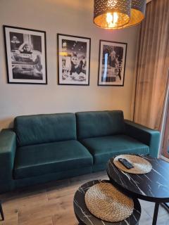 Apartamenty Ceglana Park- piękne osiedle- nowe luksusowe mieszkanie z biurkiem - 7