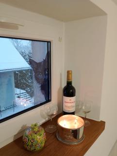 Wiejski Dom w Karkonoszach - 9