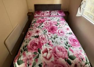 Homely 8 Berth Caravan At Highfield Grange In Essex Ref 26263E - Little Clacton - 5