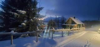 CC`s Green house - 0