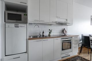 "ESPA" - Modern 1BR Apartment with Sauna, Balcony & Free Parking - 6