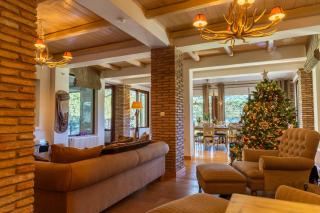 LeMont Chalet Arachova - 5