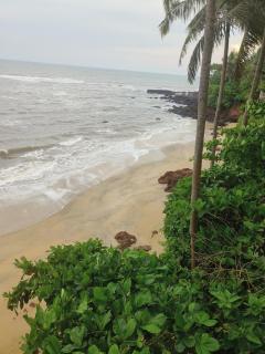 Perch by the sea 2 - 8