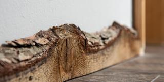 Gemütliches Chalet-Apartment Harzglück am Fuß des Berges - 2