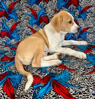 Chambre avec salle de bain privative - 8