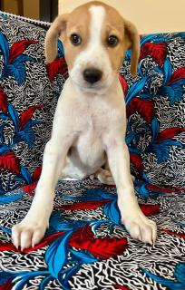 Chambre avec salle de bain privative - 5