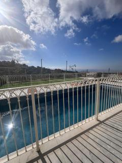 שושנת מטולה - 0