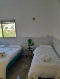 שושנת מטולה - 2