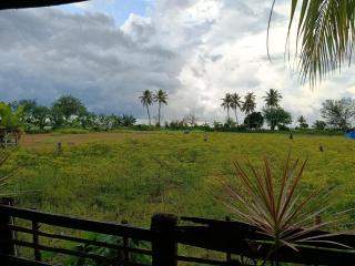 The Daun Puntik HomeStay - 4