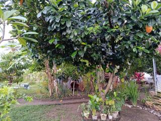 The Daun Puntik HomeStay - 6