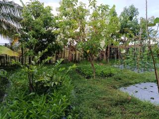 The Daun Puntik HomeStay - 9