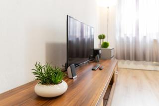 FLEX Aparts - möblierte Wohnung in Zwickau - Zwickau - 8