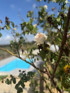 Villa Demirà - Chic Panoramic Villa - Private Pool - 8