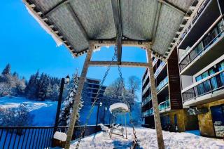 Bakuriani art apart hotel 203 - 7