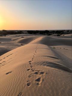 Bella Guest House & Home Stay - 6