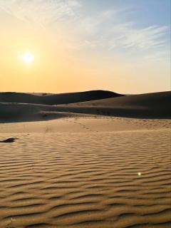 Bella Guest House & Home Stay - 8