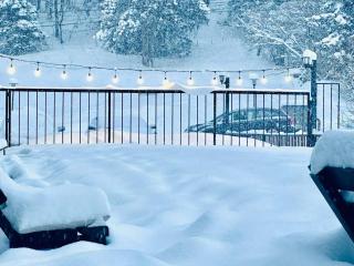 Bakuriani art apart hotel 203 - 4