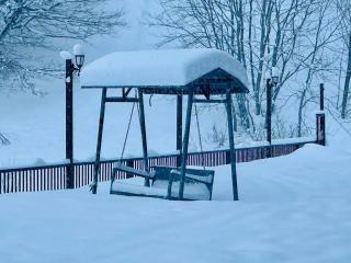 Bakuriani art apart hotel 203 - 8