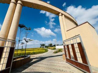 Green Heaven Mysore Homestay - 1