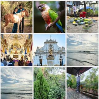 La Goodwill Garden Luxury -pondicherry - 4