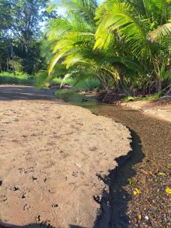 Cabin on Sailing boat cruise Roatan-Cayo Cochino -  - 1