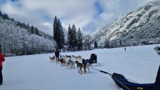 T3 rez-de-jardin avec fitness, sauna et tennis - village et ski à pied - 3