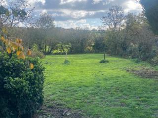 Les Pipistrelles de Planechaud - 2