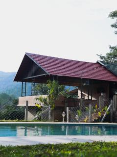 The Rain Tree resort - 8