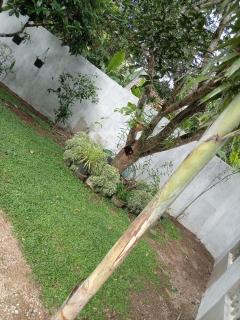 Whispering Waves Villa - 1