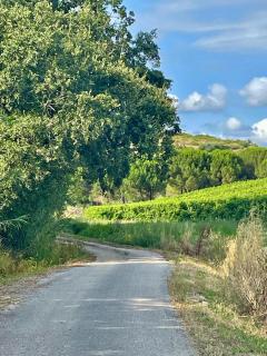 Maçussa Country House - 6