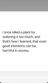 Loxwood luxury apartments - 6