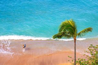 KBM Resorts FREE CAR Sands of Kahana Ocean view 3-Bedroom Condo Penthouse Recently Remodeled SOK-292 - 0