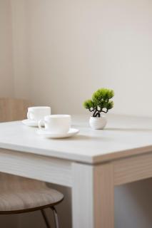 Domel Yerevan Buzand 17 - 4