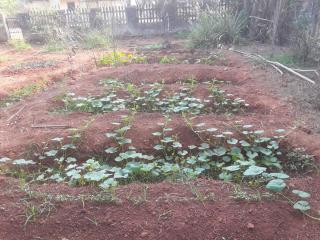 Homestay in Shirva near Udupi, 10km Kapu Beach - 6