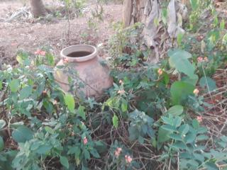 Homestay in Shirva near Udupi, 10km Kapu Beach - 3