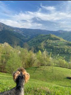 Будинок під Менчулом - 2