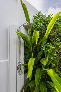 Botanica Foresta B10 - 1