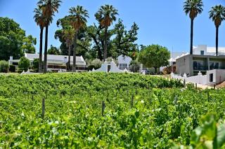 Val Du Charron Wine & Leisure Estate - 7