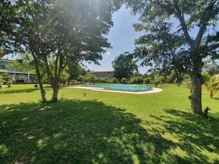 Tabbowa Lake Resort - 8