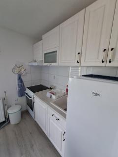 std- Na lepom plavom Dunavu - 3