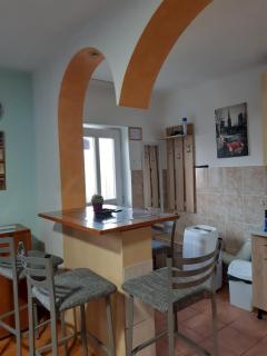 std- Na lepom plavom Dunavu - 1