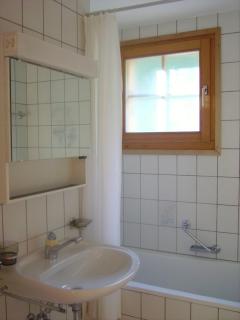 apartment with big garden and stunning view Chesieres - 5