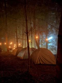 Camp Wildnest Adventures Dambuk - 2