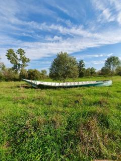 ReBeeApartments - apt 1 - 6