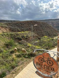 Bike Cueva - Desierto - 3