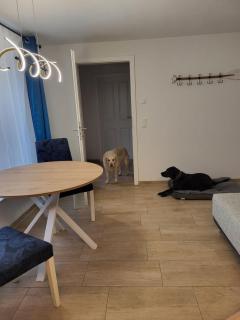 Lanckensburg Fewo2 - Sylvia - 1