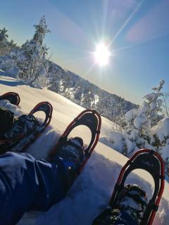 Beautiful cabin with a view in fantastic Telemark - 4