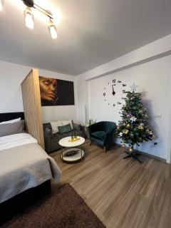 Cosy Nest Braşov Coresi - 7