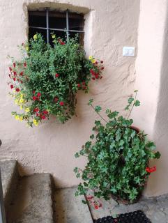 Casa Patron - Casa Vacanze a Pecco in Valchiusella - 5