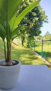 Green Aura Resort - 1